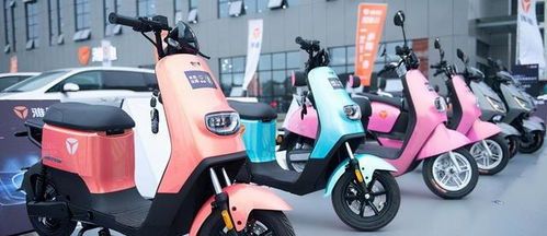 多年來騎電動(dòng)汽車,哪個(gè)牌子的電池壽命更長(zhǎng) 說明價(jià)格,質(zhì)量